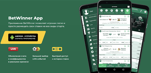 Comprehensive Reviews About BetWinner 4