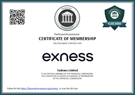 How to Set Up Exness Apk On Your Device A Comprehensive Guide How to Set Up Exness Apk On Your Device A Comprehensive Guide